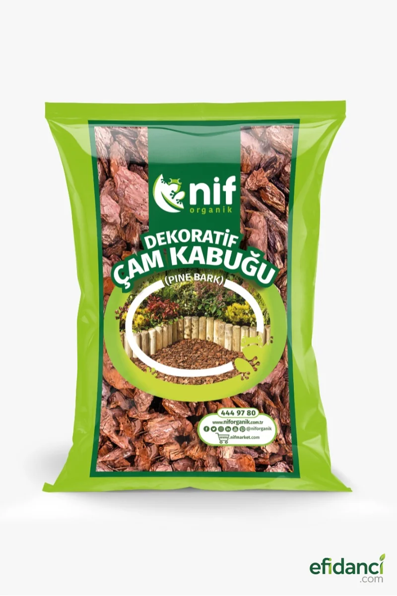 Dekoratif Çam Kabuğu