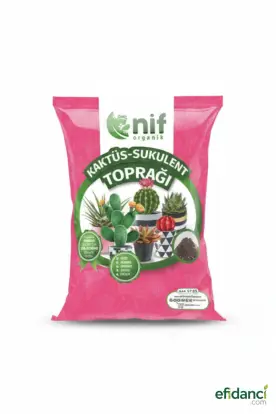 Kaktüs & Sukulent Toprağı
