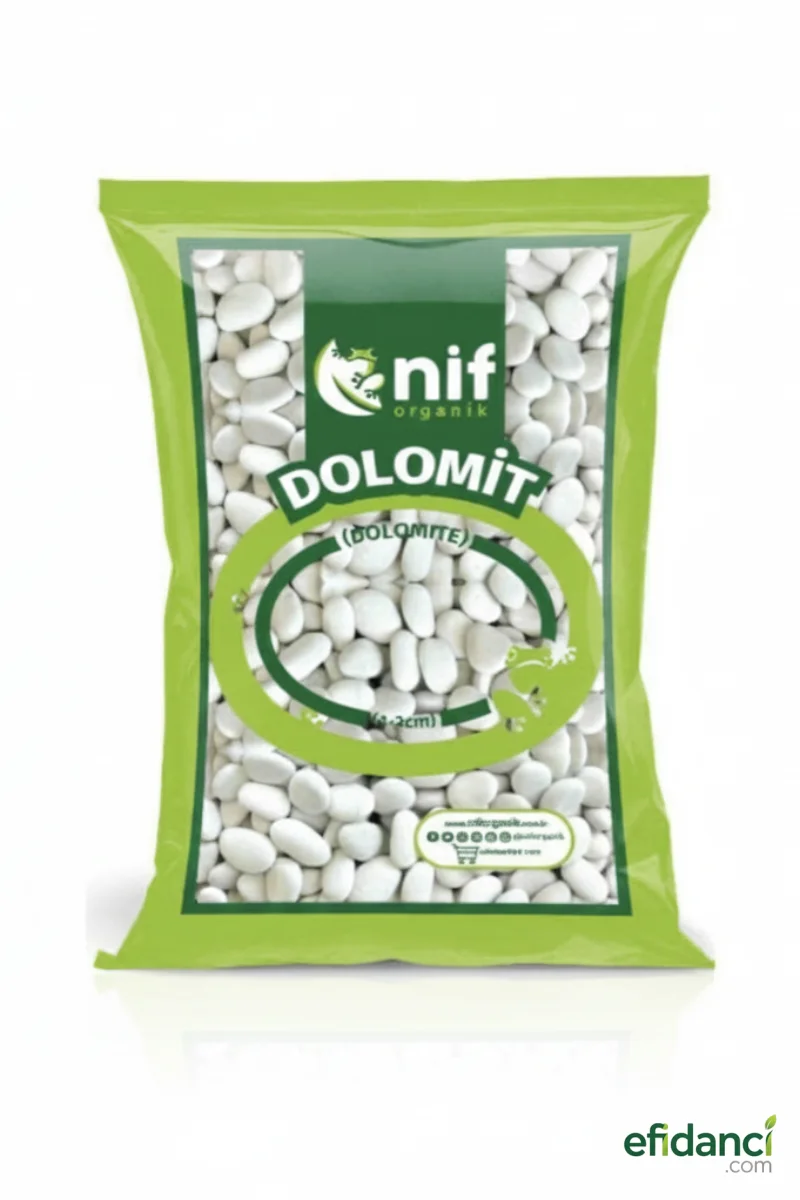 Dolomit - Beyaz 6-10 cm