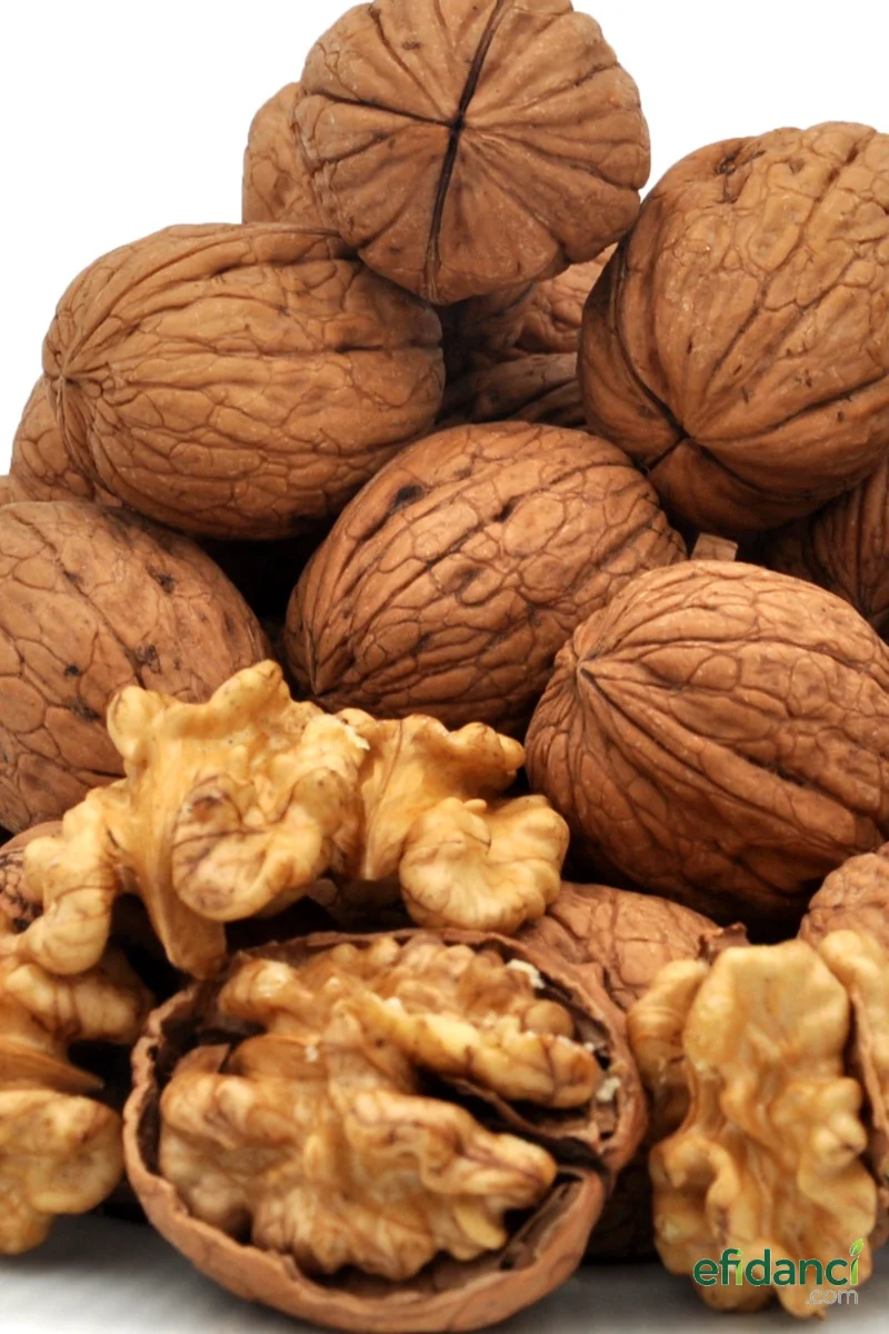 Ceviz - Aşılı / Chandler / 3 yaş tüplü