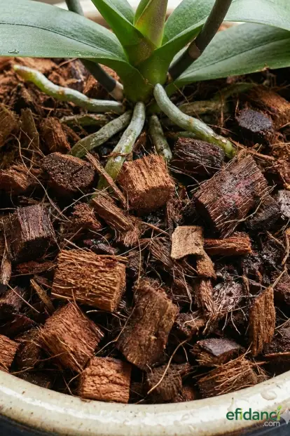 Orkide Dikim Harcı / Orkidelere Özel Lifli Hindistan Cevizi Kabuğu - 1 litre